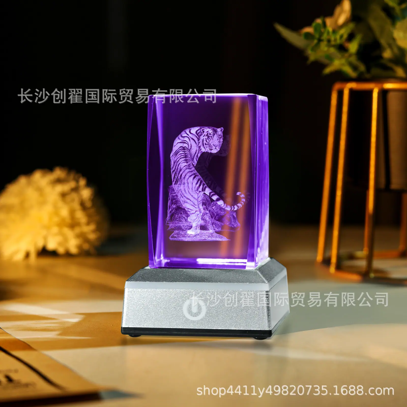 老虎_09.jpg