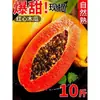 Papaya Fresca, una fruta que ayuda en la producción de leche, de pulpa roja, lechosa, caja completa, de temporada, apta para mujeres embarazadas, madurada naturalmente en el árbol