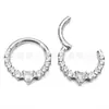 Brincos Redondos de Zircônia em Titânio F136 Argola Fechada Sem Pino Joias para Piercing em Liga de Titânio G23 Anel de Nariz Anel de Lábio