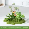 Mini Musgo Artificial Ornamento de Paisagem para Janela e Escada
