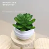 Decoraciones de plantas suculentas artificiales para interiores, oficina, adornos pequeños, plantas verdes, combinación de micro paisajismo, mobiliario con plantas en maceta