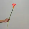 Lírios Calla Artificiais, Caládios Artificiais, Buquês de Flores, Decorações para Sala de Estar, Arranjos Florais, Decorações para Mesa de Jantar, Adereços de Decoração para Casa