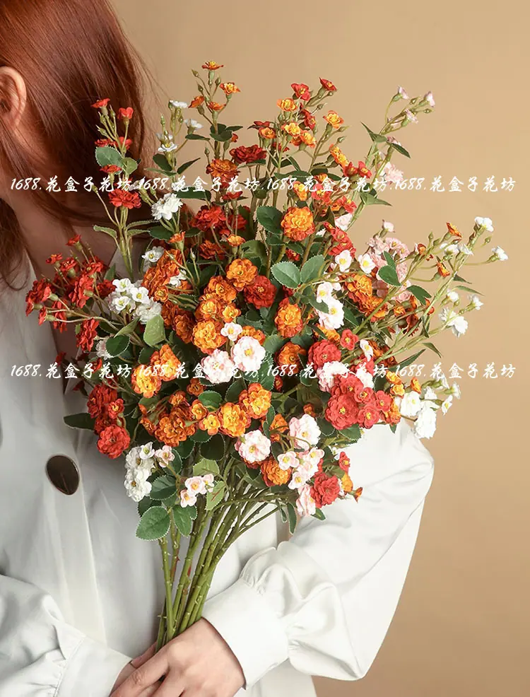 tb_image_share_1638254720256.j