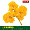 Simulación de hojas de baniano, hojas de arce rojo, hojas de ginkgo, ramas falsas, hojas de otoño, ingeniería, decoración, plantas verdes, paisajismo, venta al por mayor