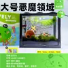 Botella de Ecosistema de Paisaje Micro Marimo Bola de Musgo, Divertida en Interiores