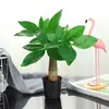 Árvore da Fortuna de Luxo em Vaso Plantas de Interior Pequenas Plantas com Flores em Vaso Interior Fácil de Cuidar Árvore da Fortuna Grande Escritório