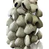 Campanillas de Viento Naturales Importadas de Indonesia Hechas de Cáscaras de Fruta con Documentación Completa, Nicho DIY, Artículos Dañados Devolubles/Intercambiables, Limpio, Agujeros Grandes de 0.2cm