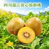 Kiwi de polpa amarela de Pujiang, Sichuan, entrega direta de 10/24 kiwis dourados grandes, suculentos e sazonais, fruta fresca