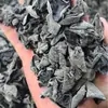 Peso Líquido Sem DessecanteFungo Preto com Orelhas em Forma de Tigela Pequena, Fungo de Outono Sem Raízes, Fungo Seco de Carne Espessa