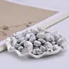 Cascalho de Pinus Branco, Cascalho de Cristal de Pinus Branco Natural, Partículas Pequenas, Substrato para Aquário, Pedra Decorativa para Paisagismo de Vasos de Flores para Buda
