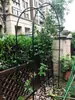 Arcos de Ferro Antiferrugem, Suportes para Plantas Trepadeiras, Treliças para Uvas, Suportes para Flores Rosas, Arcos Externos, Suportes para Flores, Treliças