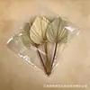 Hojas de palma secas, grandes frondas de palma, arreglos florales de estilo natural para floristerías, textiles para el hogar, decoraciones de arcos, decoraciones para escenas de bodas, hojas de palma