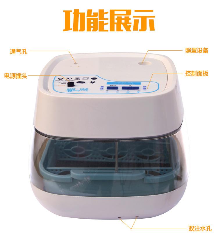 16枚白色-拷贝_02