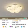 Luminária de Teto para Quarto Estilo Creme 2026 Nova Proteção para os Olhos Estrelas Francesas Gatinhos Flores Aconchegantes Quarto de Meninas Crianças