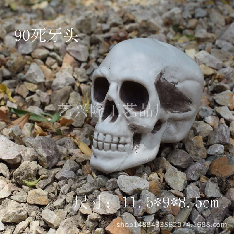 6号头