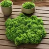 Musgo Sintético Musgo Artificial Gramado Biônico Paisagismo Grama de Seda Vaso de Flores Cobertura de Superfície Plantas Verdes Plantas em Vasos Plantas Verdes Flores
