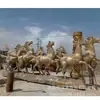 Adornos Cuadrados Grandes de Paisaje Escultura del Carro de Apolo Fundición de Cobre Puro Precio Fábrica de Tallado en Cobre del Condado de Tang Producción