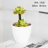 Plantas Verdes Simples Suculentas de Plástico em Vaso Ornamento para Sala de Estar Mesa de Jantar Flores Artificiais Decorações Ornamento Flores Biomórficas