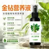 Solución Nutritiva Especial Diamante Dorado: Previene el amarillamiento de las hojas, promueve el crecimiento de las raíces, adecuado tanto para cultivo hidropónico como en tierra, resultando en un follaje exuberante y de un verde vibrante