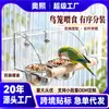 Comedero para loros de mascotas, comedero de acero inoxidable para pájaros, cuenco de comida a prueba de salpicaduras, adecuado para periquitos, ninfas y otras especies de loros, para ventas transfronterizas