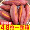 Camotes Frescos 5kg Camotes Frescamente Desenterrados Camotes Asados con Castaña Camotes Corazón de Azúcar Camotes de Granja Arenosa Camotes Autocultivados Camotes Pequeños