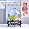 Aquário Pequeno, Tanque Transparente de Vidro Espessado para Tartaruga de Escritório, Tanque Mini Pequeno Redondo para Peixinhos Dourados de Mesa em Casa na Sala de Estar