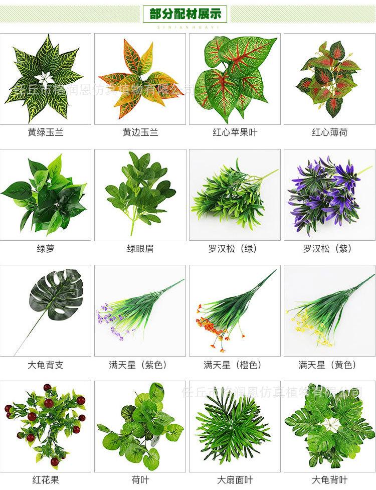 植物墙20180925版1_01.jpg
