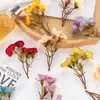 Flor de simulação 3 galhos rosa pequena flor de seda diy grinalda feita à mão broche flor de cabeça material flor de casamento decoração de parede de flores atacado