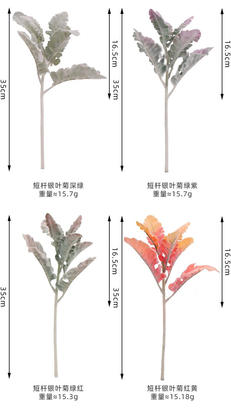兔儿叶详情页_04.jpg