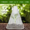 Capa de Proteção para Mudas de Plantas no Atacado, Capa de Sombra para Mudas de Vegetais, Capa em Formato de Cone para Plantas, Capa à Prova de Vento para Mudas, Capa de Isolamento para Mudas