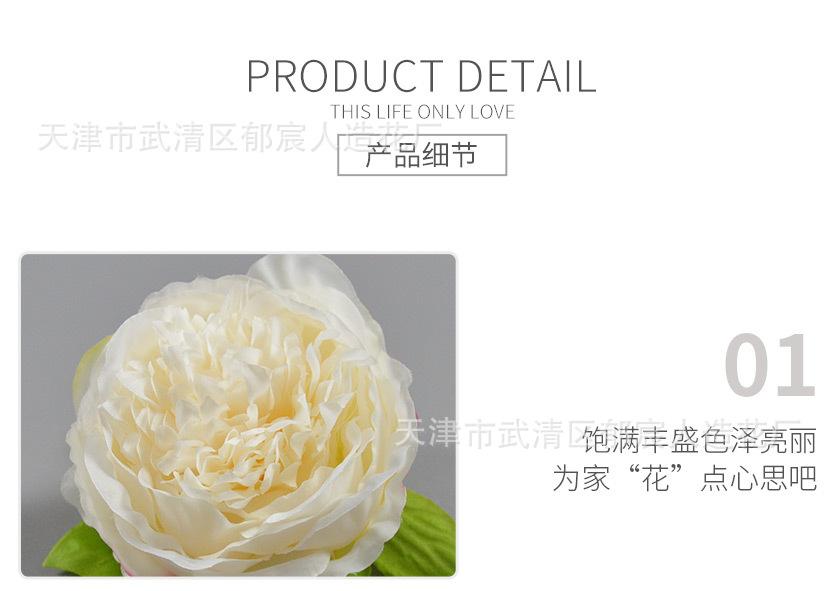 详情_08.jpg