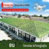 Rede de Camuflagem Rede de Camuflagem Rede de Camuflagem Antiaérea Rede de Camuflagem para Montanha Rede de Camuflagem para Canteiro de Obras