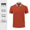 Polo overol con logo solapa camiseta impresión clase grupal uniforme bordado publicidad camisa cultural