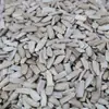 Semillas de calabaza en stock del fabricante, calabazas ornamentales pequeñas, semillas de calabaza retorcidas a mano, semillas de calabaza grandes, semillas de calabaza naturales extra grandes