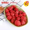 Melocotones Amarillos en Lata, Mezcla Comercial de Frutas Frescas, Puesto de Piñas, Bebida Fría en Barril Grande de Lata, Paquetes de 3 kg, Caja Cerrada Original