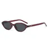Gafas de Sol Ovaladas Pequeñas Estilo Nuevo 2026 Ojo de Gato para Mujer, Estilo Nerd de Alta Gama, Anti-UV, Gafas de Sol Estilo Europeo y Americano para Hombre