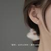Aretes Año del Conejo Aretes de Lujo Ligero para Mujer 2022 Nuevo Invierno Diseño de Personalidad Nicho Aretes de Este Año
