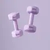 Mancuernas Pequeñas de Nuevo Modelo Transfronterizas para Mujeres, Equipo de Fitness para el Hogar para Adelgazar los Brazos, Mancuernas Estilo Kettlebell para Yoga para el Entrenamiento Muscular de los Brazos