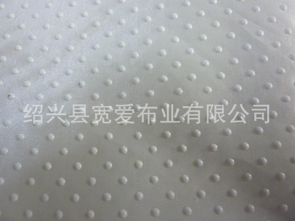 P1090113