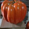 Calabazas simuladas, 8.5cm-50cm de espuma, Calabazas de Halloween, Venta directa de fábrica, Accesorios, Modelos de calabaza falsos para fotografía.