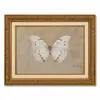 Pintura Decorativa Vintage de Mariposa e Insectos con Marco Dorado Horizontal para Sala de Estar y Entrada, Envío Directo de Fábrica