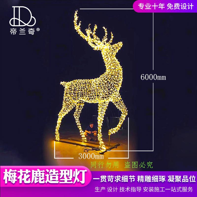 IMG_8577 6米 222.jpg