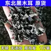 Productos Secos Negros Especialidad del Noreste 500g, Forma de Tazón Pequeño, No Silvestre, Grado Especialidad Montaña Changbai, Carne Otoñal Espesa Sin Raíces