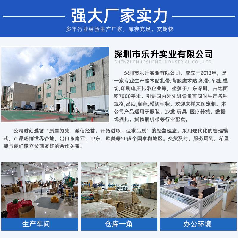 乐升实力厂家_01