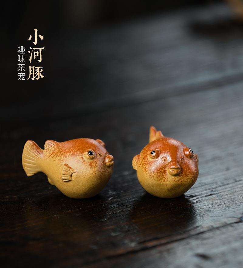 小河豚20210616 (12).jpg