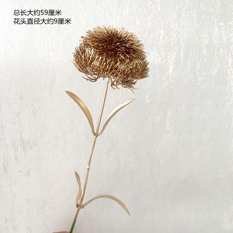 QQ图片20220505100527