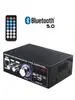 Mini Amplificador de Potencia Tarjeta Plug-In Multifunción Bluetooth Amplificador de Potencia para Hogar Coche 12V 220V