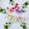 Decoración de Sala de Estar con Flores Artificiales Como Phalaenopsis y Peonías, Peonías de Seda y Plástico para Muebles de TV y Mesas de Comedor, Venta al por Mayor de Fabricantes