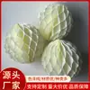 Bolas de Favo de Mel Pequenas Personalizadas Flores de Papel em Bola Decoração de Sala de Casamento Suprimentos de Decoração para Festas de Casamento Bola de Favo de Mel de Papel Flor