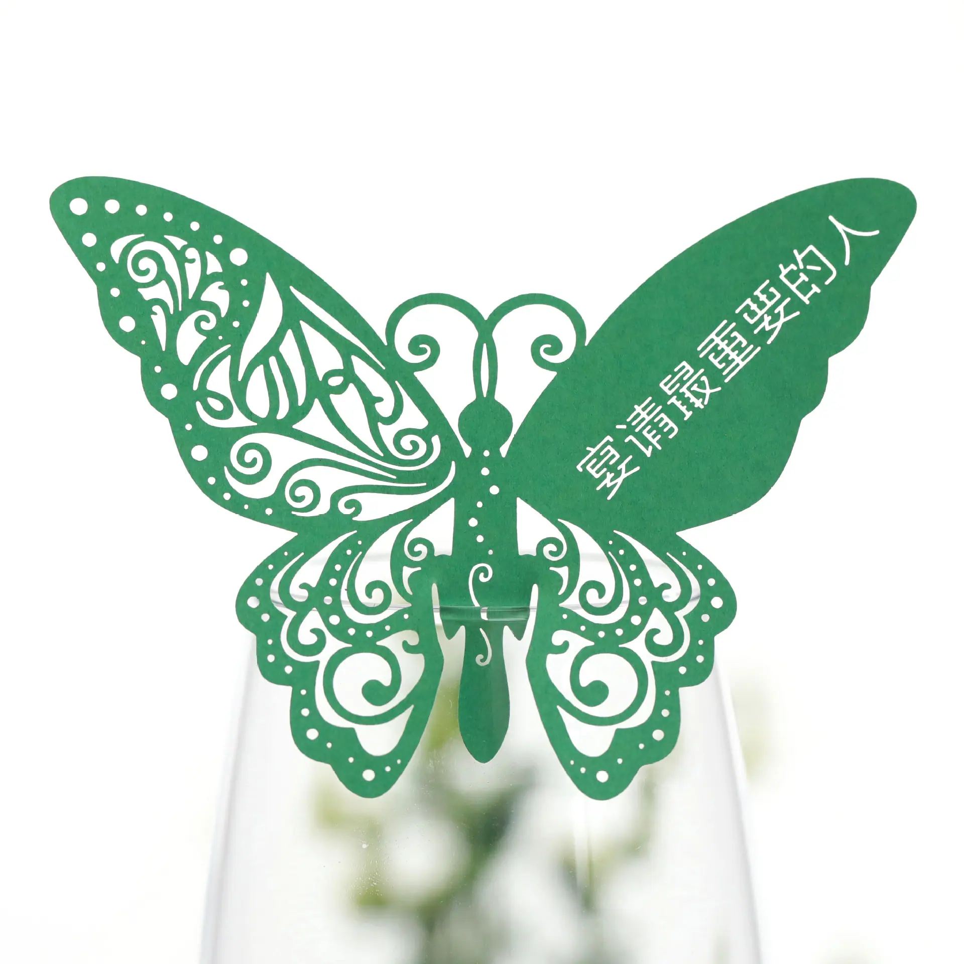 9R3A2892 深绿卡